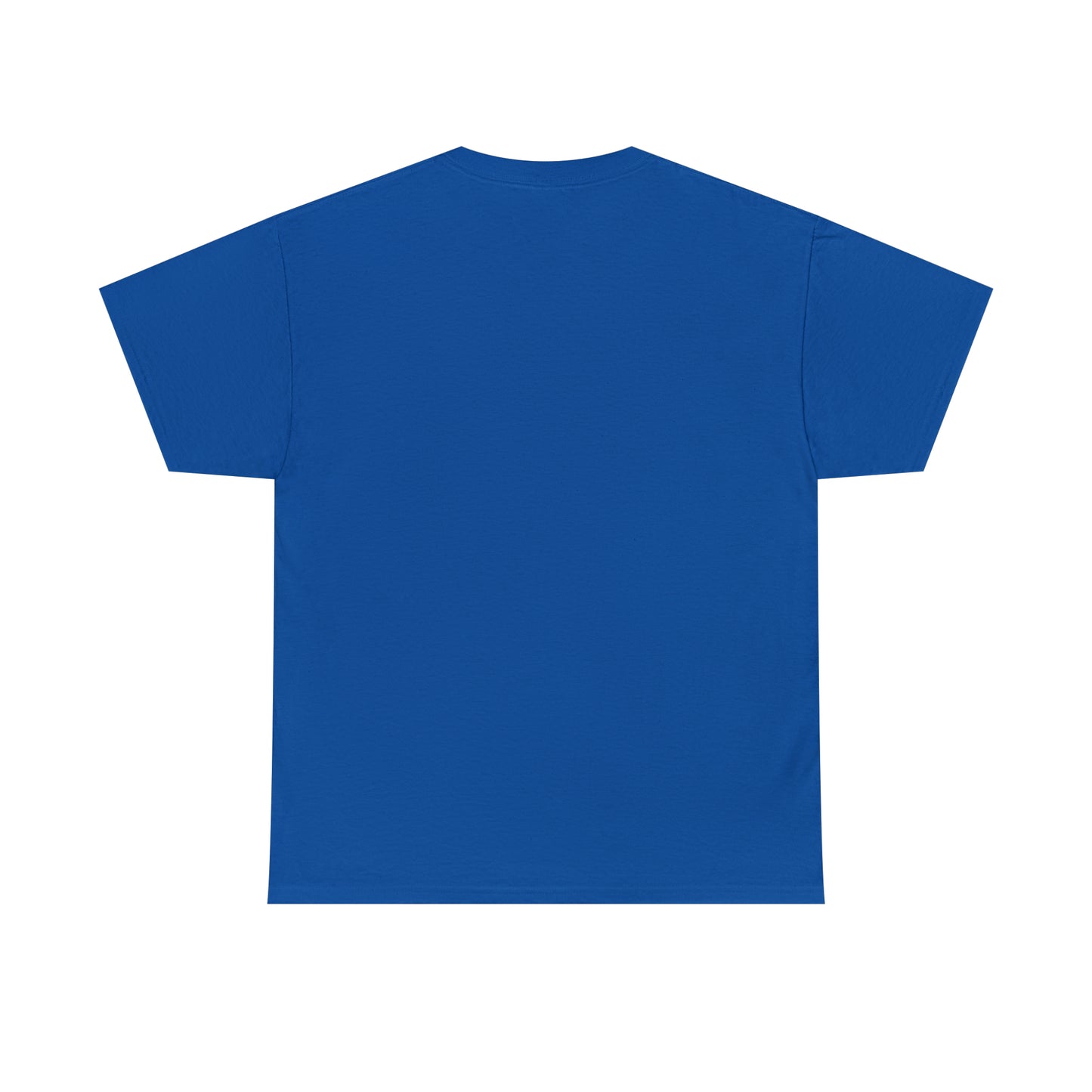 SaltnSurf GLITCH Tee Royal Back