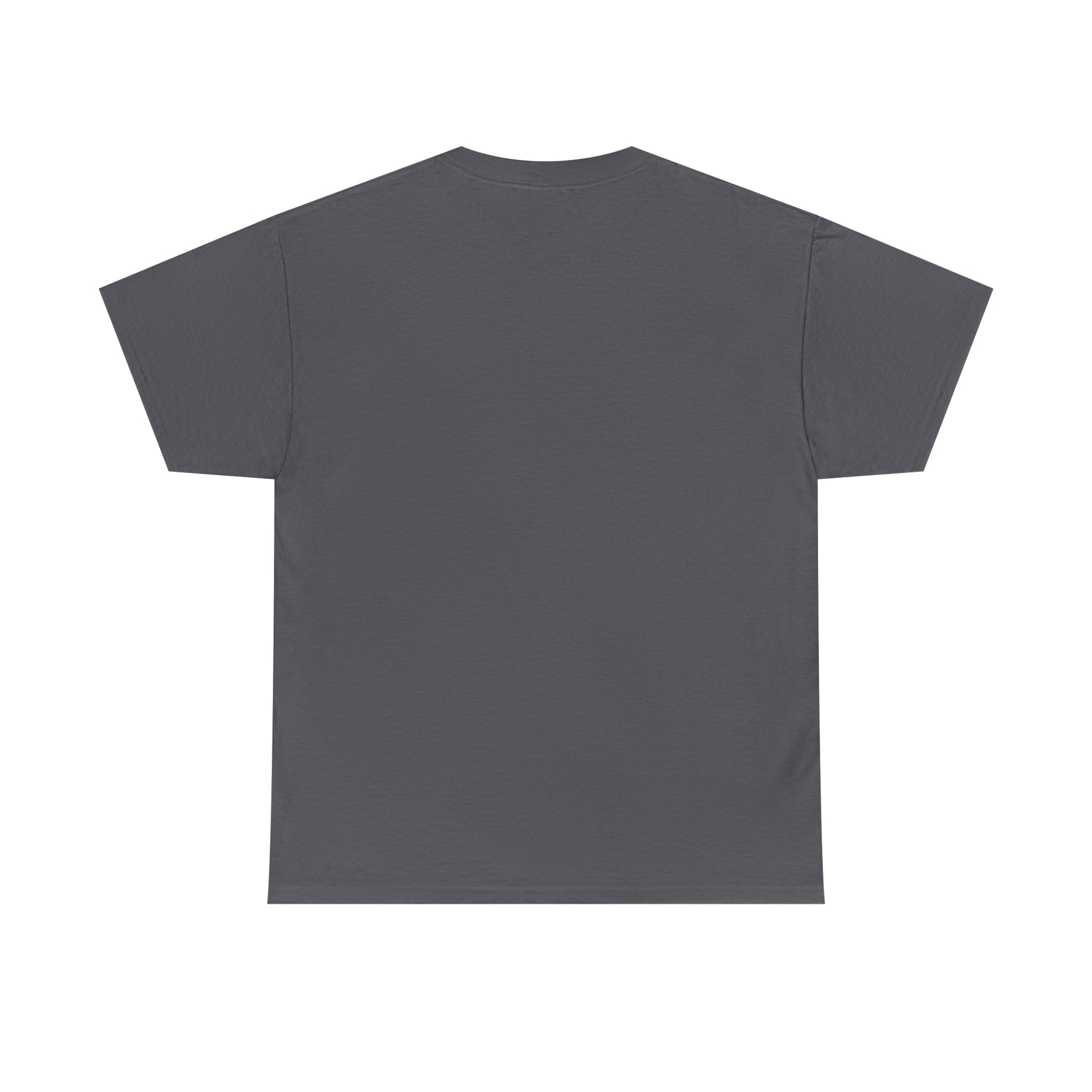 SaltnSurf GLITCH Tee Charcoal Back Back