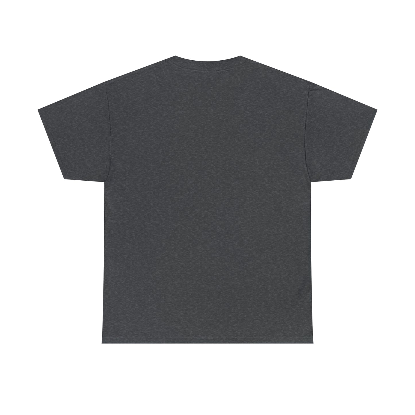 SaltnSurf GLITCH Tee Dark Heather Back