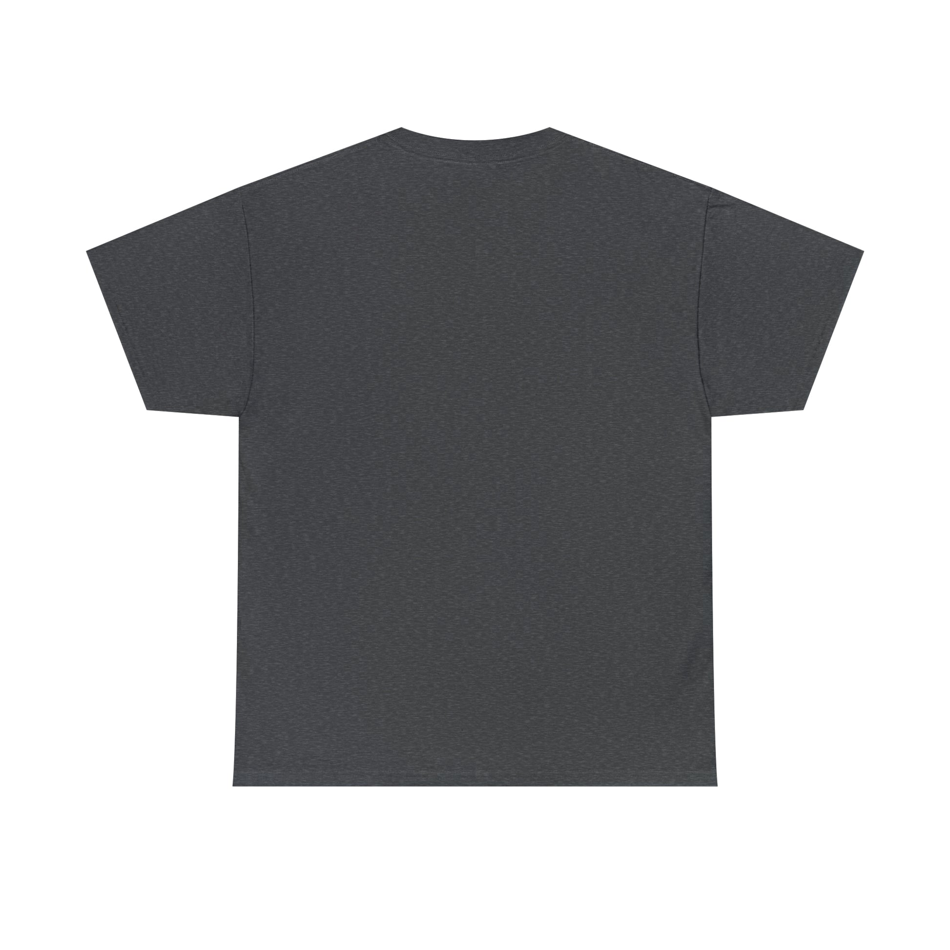 SaltnSurf GLITCH Tee Dark Heather Back