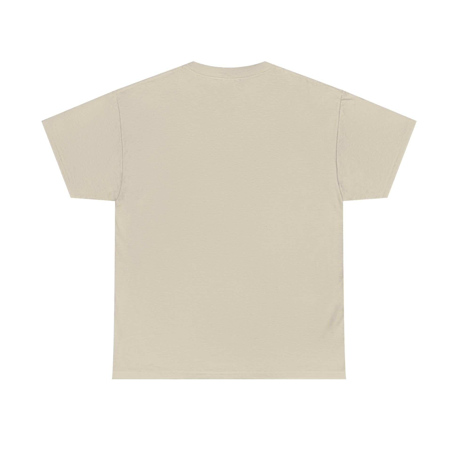 SaltnSurf GLITCH Tee Sand Back