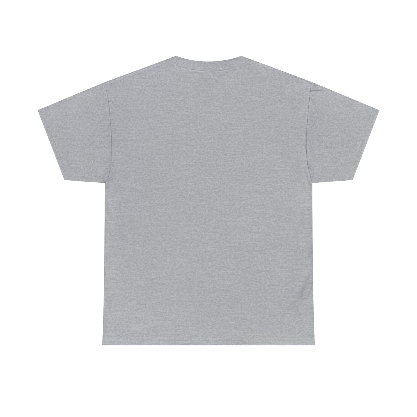 SaltnSurf GLITCH Tee Sport Grey Back