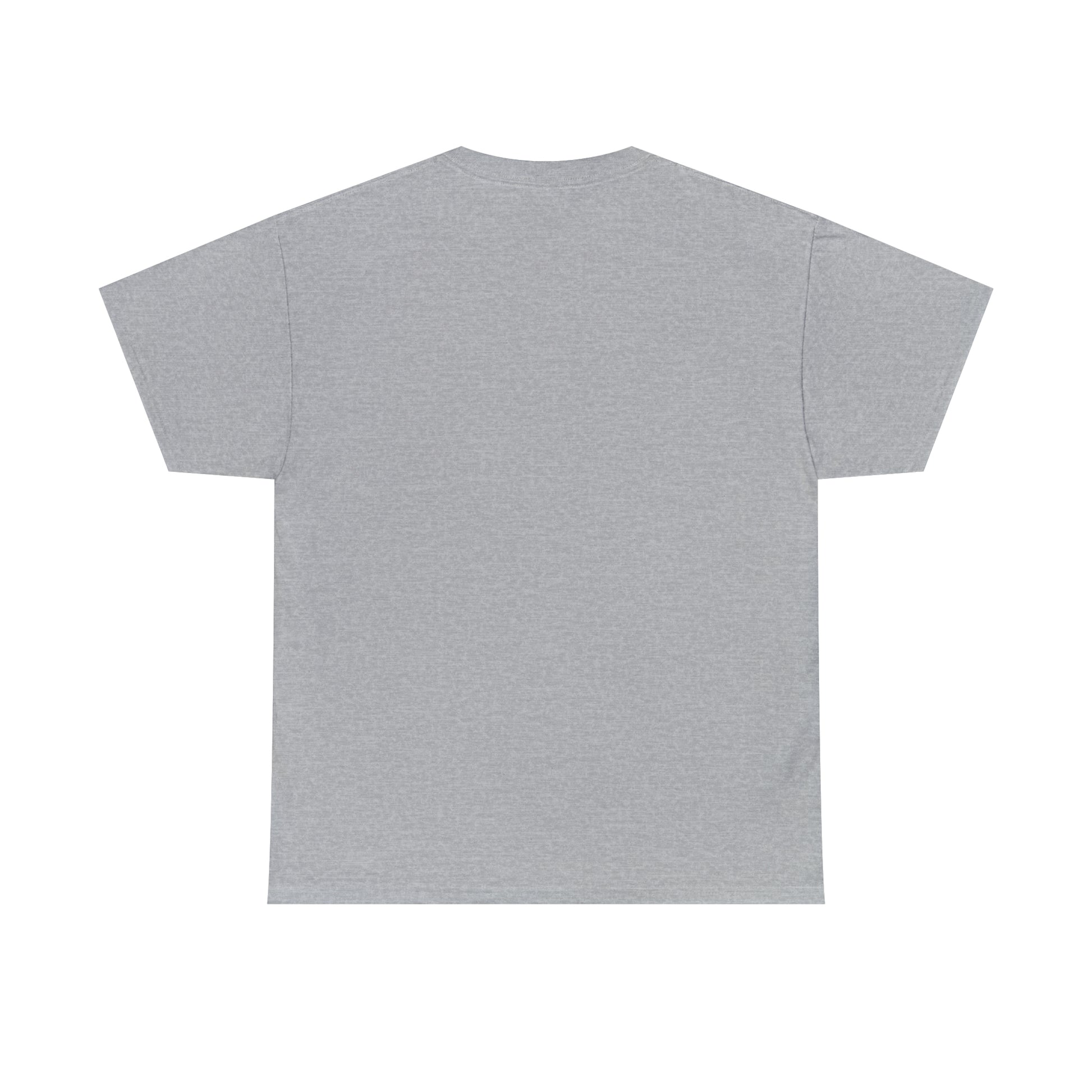 SaltnSurf GLITCH Tee Sport Grey Back